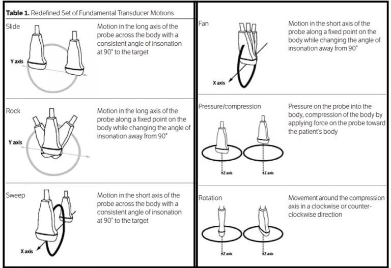 Six fundamental ultrasound transducer motions: Sliding, Sweeping, Rocking, Fanning, Rotating, and Compression